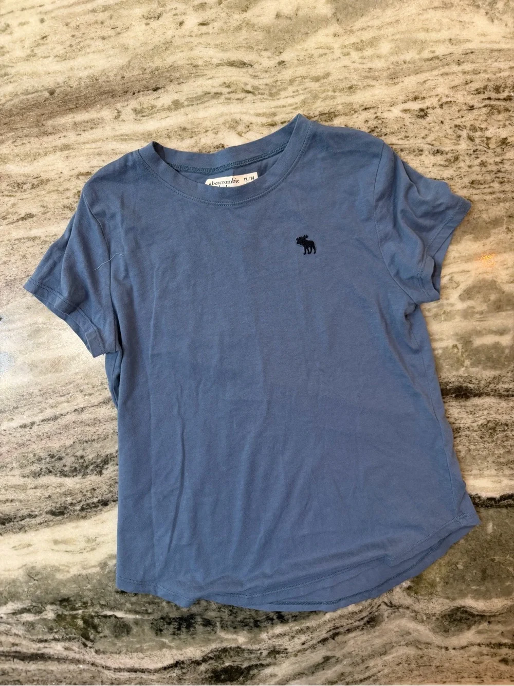 Abercrombie Kids Blue Short Sleeve Tee with Navy Moose Logo